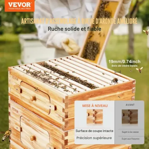 Test VEVOR Ruche 20 cadres : kit pas cher qui fait le job, mais faut aimer bricoler