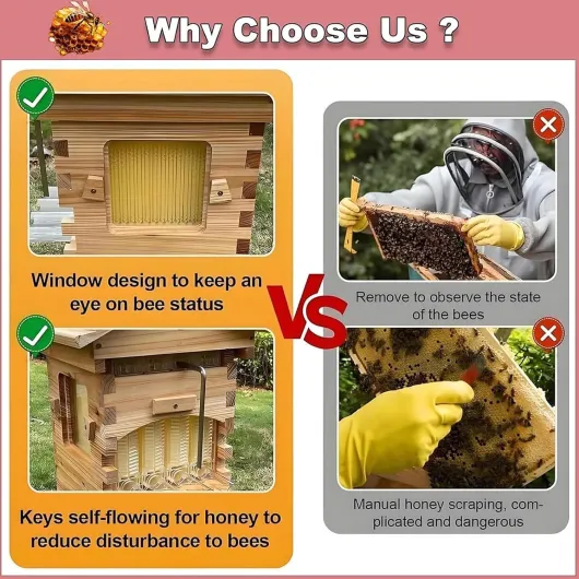Kit démarrage Ruche Flow Hive – Ruche complète avec fenêtre d'observation et Robinet Miel – pour l'apiculture – Ipour Abeilles charpentières, destiné aux pollinisateurs Jardin.