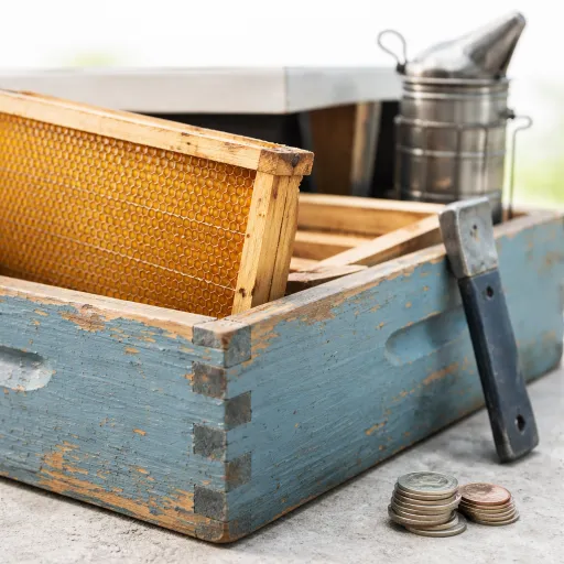 Combien coûte réellement une ruche complète pour bien démarrer en apiculture