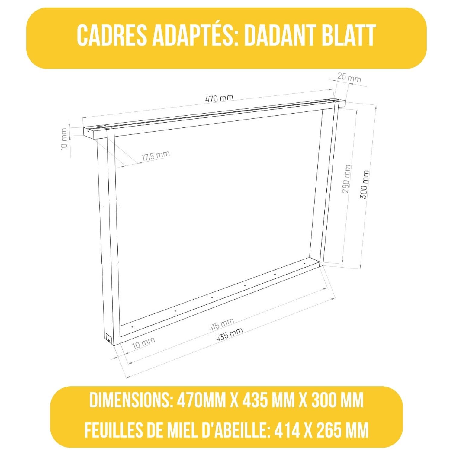 LYSON Kit Ruche d'abeilles Dadant Optima avec fond en plastique Varroa bas peint (jaune) - Demi-cadre: 40×47×15,8cm (dimensions intérieures) - Cadre: 40×47×29,5cm (dimensions intérieures)