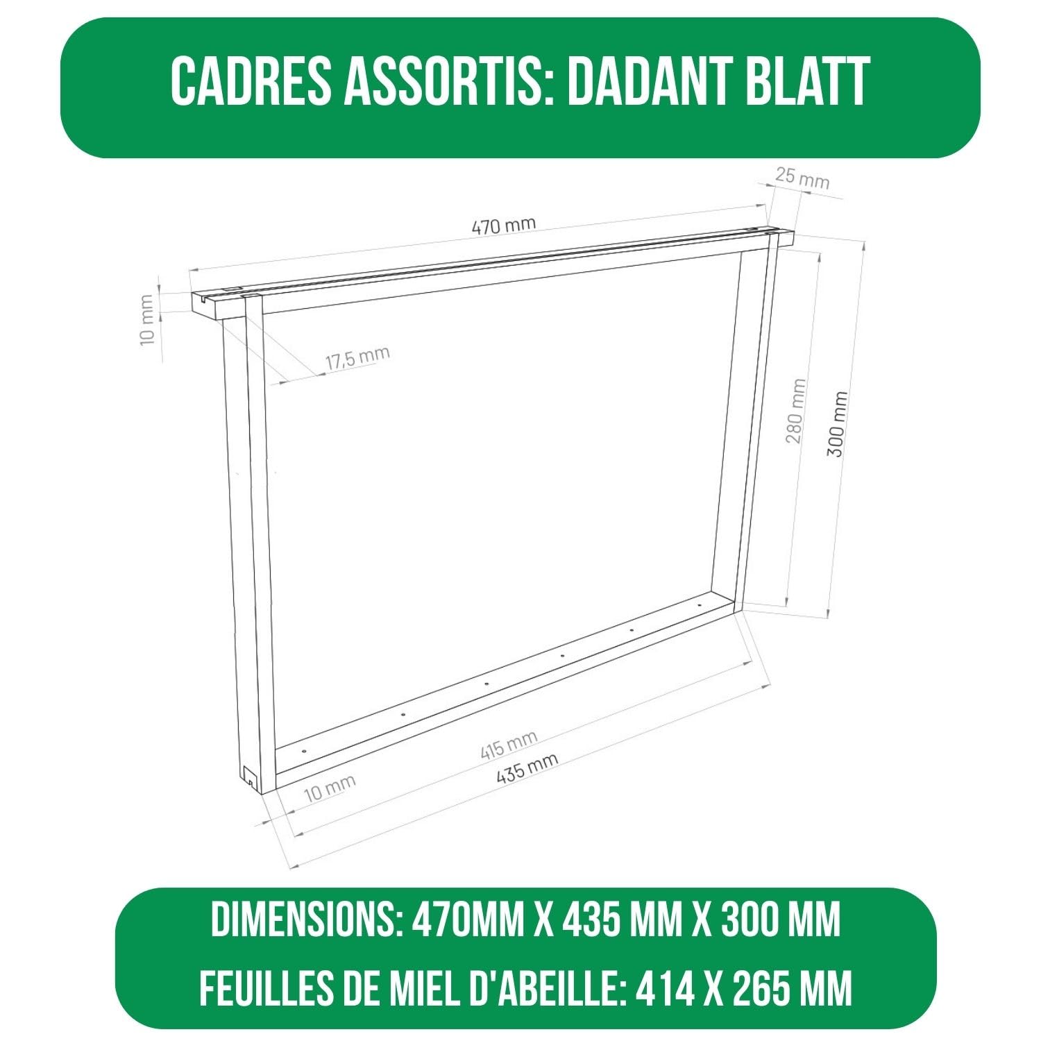 LYSON Kit Ruche d'abeilles Dadant Optima avec fond en plastique Varroa bas peint (vert foncé) - Demi-cadre: 40×47×15,8cm (dimensions intérieures) - Cadre: 40×47×29,5cm (dimensions intérieures)