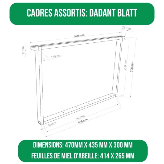 LYSON Kit Ruche d'abeilles Dadant Optima avec fond en plastique Varroa bas peint (vert foncé) - Demi-cadre: 40×47×15,8cm (dimensions intérieures) - Cadre: 40×47×29,5cm (dimensions intérieures)