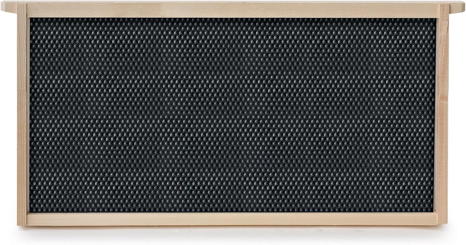 Miel Keeper Ruche 10 Deep kit de Cadre avec des fondations pour de Remplacement Langstroth Apiculture