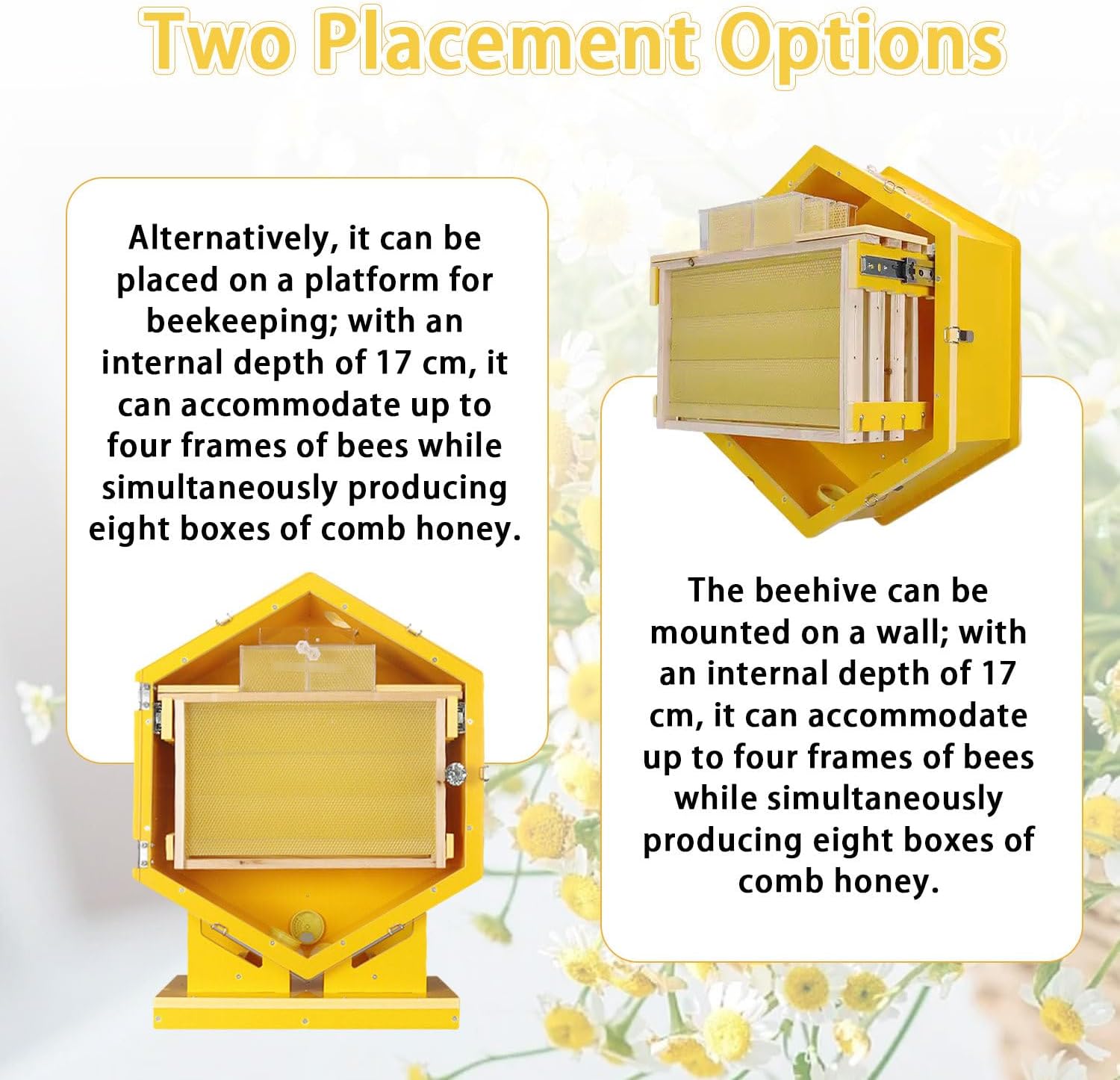 Kit de ruche d'observation des abeilles avec fenêtre en acrylique – Kit de démarrage apiculture pour les amateurs d'équipement éducatif