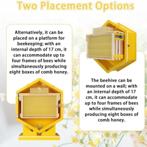 Test Kit de ruche d'observation des abeilles : sympa pour regarder les abeilles, moins fun à gérer au quotidien