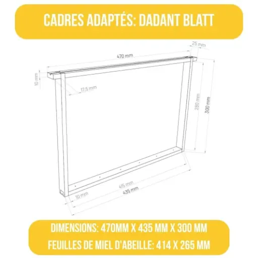 Test LYSON Kit Ruche Dadant Optima : une ruche légère qui fait le job, mais pas donnée