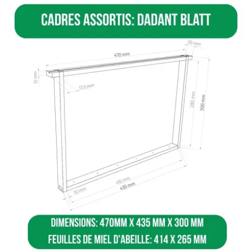 Test LYSON Kit Ruche Dadant Optima : légère, bien isolée… mais pas donnée et pas parfaite