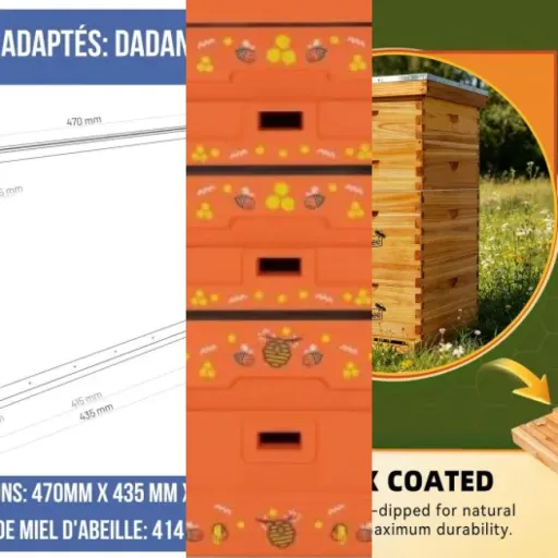 Comparatif des 15 meilleurs ruches en kit (juin 2026)