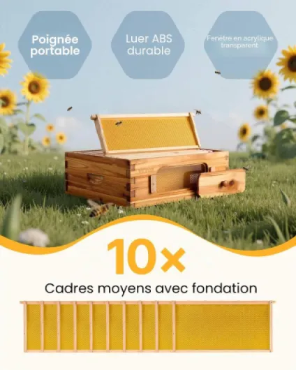 Kit démarrage Ruche avec boîte Moyenne, Bois de Sapin Enduit de Cire d'abeille, kit Ruche Langstroth avec 10 Cadres et fondations fenêtres Acrylique Transparent pour apiculteurs Pro débutants Medium Super Box x 1