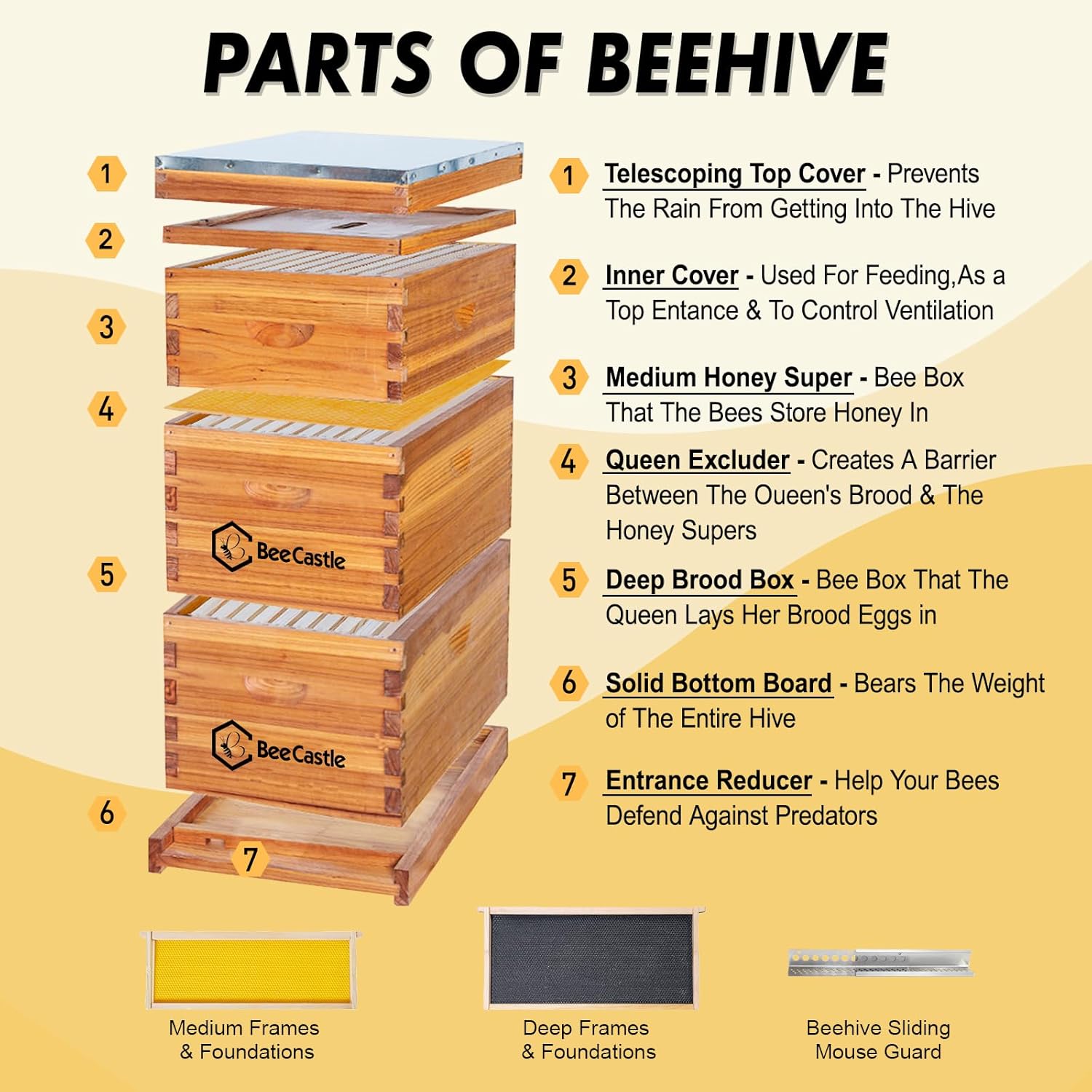 BeeCastle Bee Hive Kit d'apiculture complet 10 cadres et fondations en pin enduit de cire, 2 boîtes profondes et 1 moyenne ruche, marron, bois, abeille, abri pour animaux