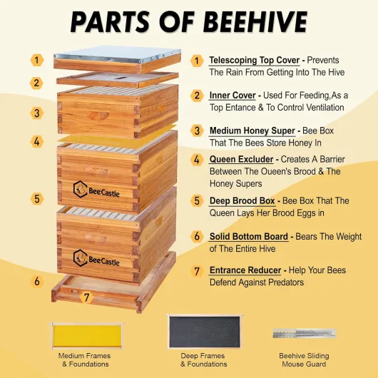 BeeCastle Bee Hive Kit d'apiculture complet 10 cadres et fondations en pin enduit de cire, 2 boîtes profondes et 1 moyenne ruche, marron, bois, abeille, abri pour animaux