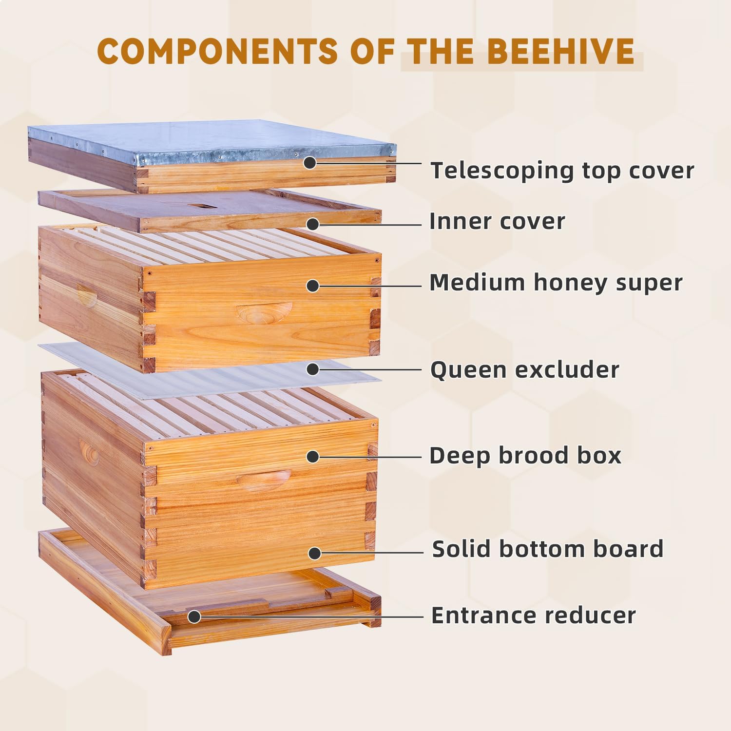 Kit complet de ruche à abeilles avec 10 cadres de ruche, 1 ruche à abeilles profonde, 1 ruche super avec cadres de ruche et fond de teint
