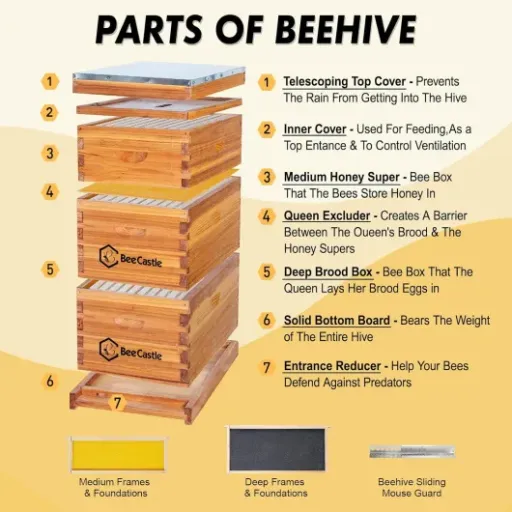 Test BeeCastle Bee Hive Kit : une ruche complète en kit qui fait sérieusement le job