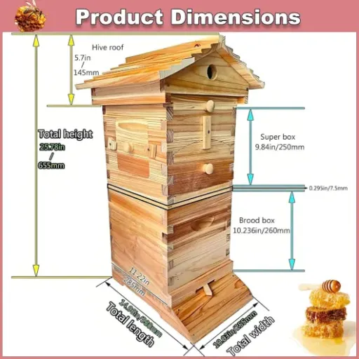 Test kit de ruche en bois auto-écoulant : la ruche pour débuter sans trop stresser les abeilles