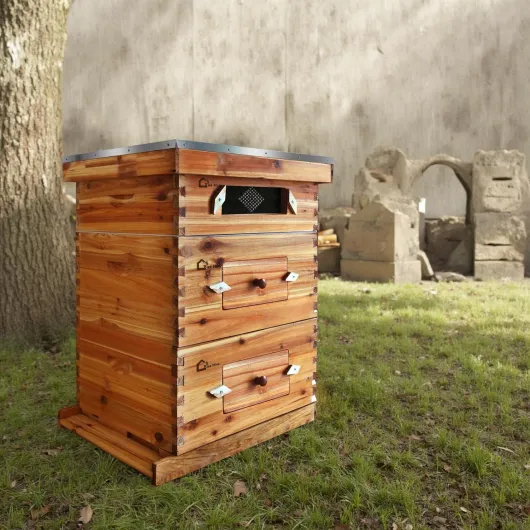 Kit complet ruche Langstroth 10 cadres pour apiculture – 2 corps profonds, 1 hausse moyenne, fenêtres acryliques, cadres et cires inclus – Bois de sapin traditionnel – Traditionnelle ruche en