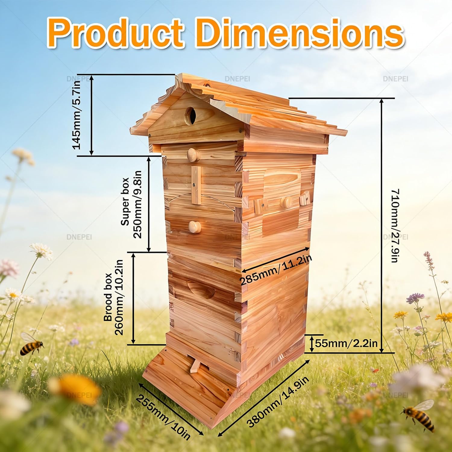 Kit complet de ruche pour abeilles avec fenêtre d'observation et robinet à miel, comprend un abri pour abeilles charpentier pour les jardins respectueux des pollinisateurs