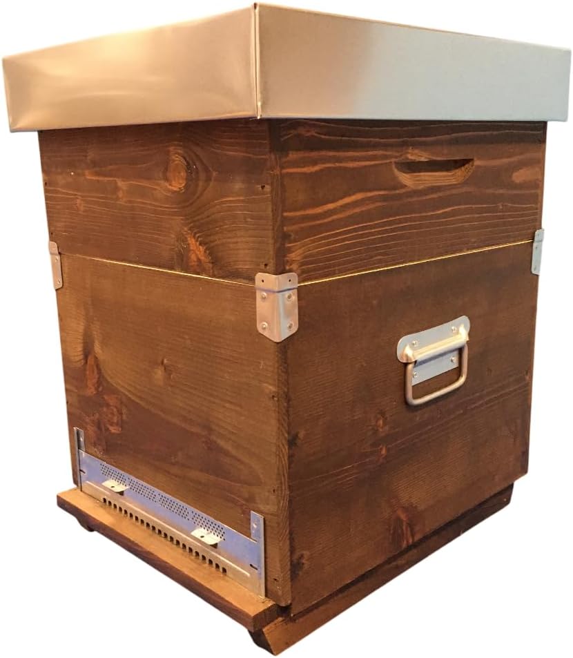 Ruche DB Anti-varroa à 10 Cadres, avec alvéoles et Cadres cirés.
