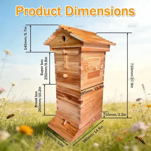 Test Kit complet de ruche à flux automatique : pratique pour débuter, mais pas sans compromis