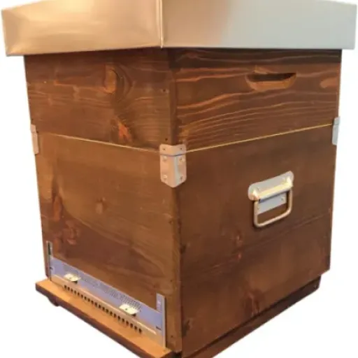 Test Ruche DB Anti-varroa APICOLTURACOM : une ruche complète qui fait le job pour démarrer ou agrandir son rucher