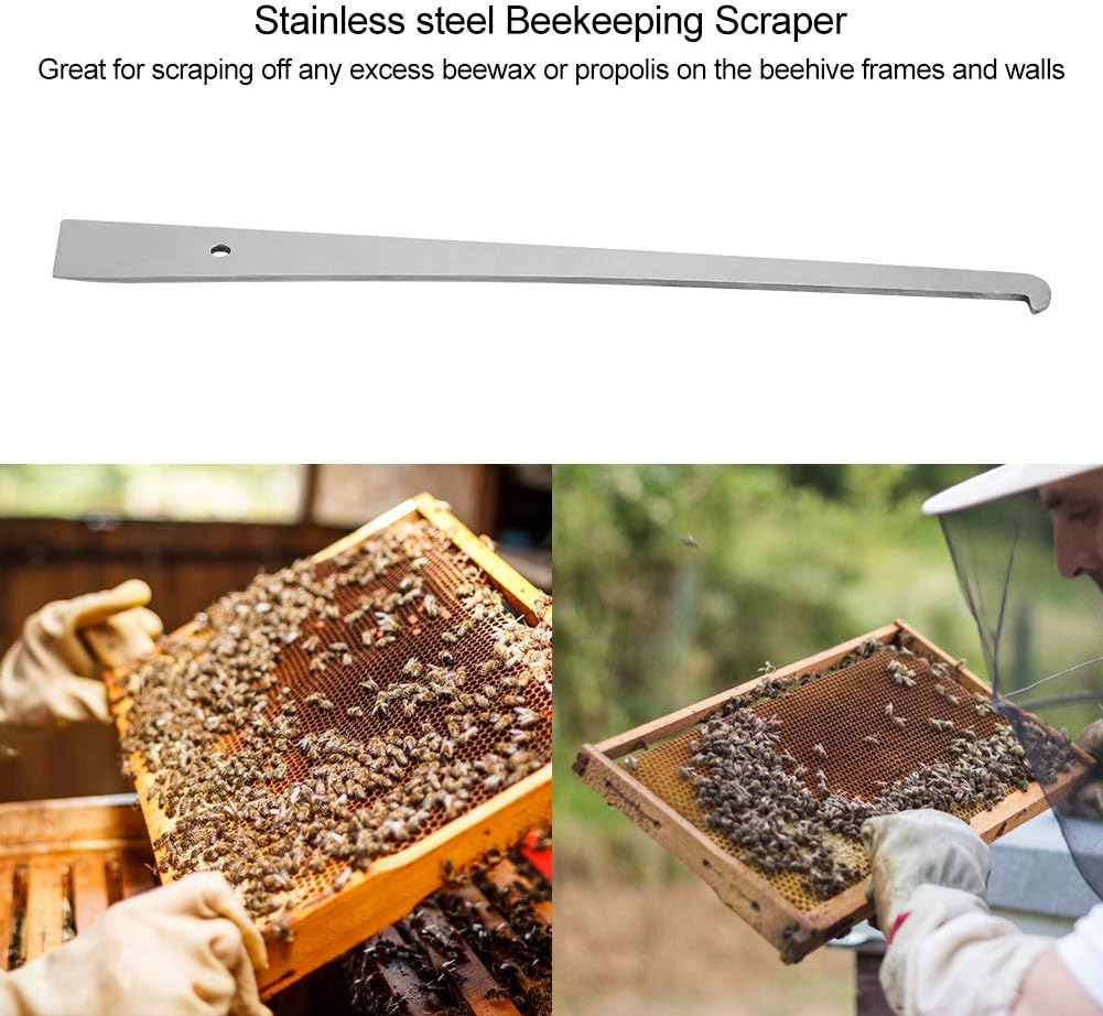 Grattoir D'apiculture en Acier Inoxydable Apiculture Materiel Ruches D'abeilles Grattoir Nids d'abeille Outil de Nettoyage de Cadre J Crochet Pry Board Accessoires Fournitures D'apiculture