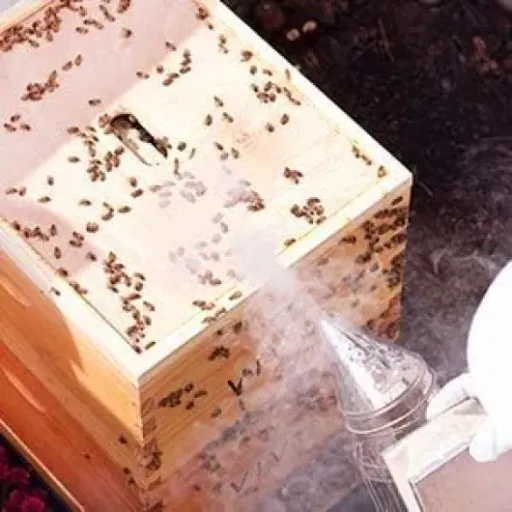 Test Enfumoir pour ruche VIVO BEE-V001 : un fumoir simple qui fait le job pour débuter