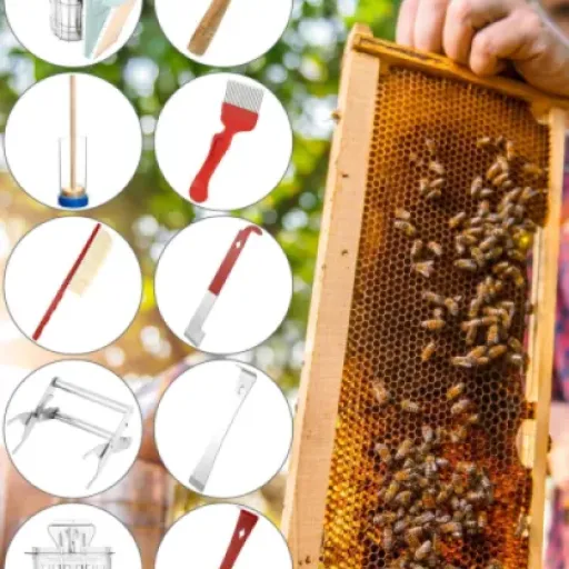 Test QWORK 10 pièces apiculture : le kit pas cher pour démarrer sans se prendre la tête