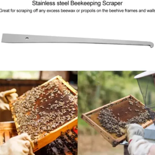Test grattoir d’apiculture en inox Tomotato : l’outil basique qui fait le job au rucher