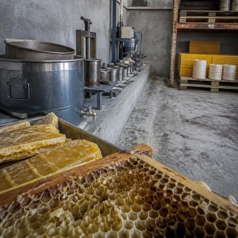 Cire d’abeille : de la ruche aux bougies de qualité professionnelle
