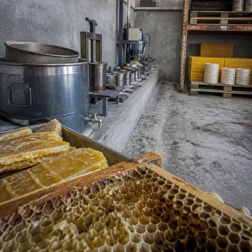 Cire d’abeille : de la ruche aux bougies de qualité professionnelle