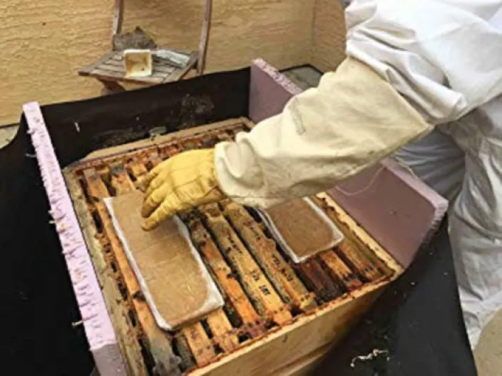 Galette de pollen - Formule riche en protéines - Aliment complémentaire pour tous les niveaux d'apiculteurs