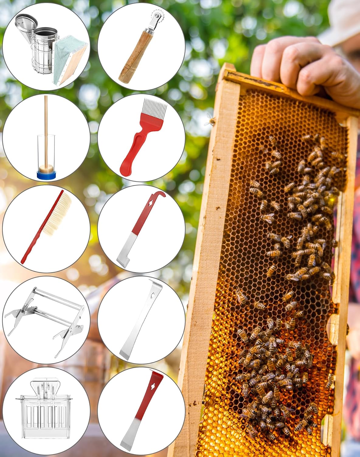 QWORK® 10 pièces kit d'outils d'apiculture, équipement d'apiculture pour fumeur de ruche, fournitures d'apiculture