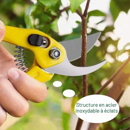 Kit Bonsai 13 pièces Outils Bonsai avec Ciseaux pour bonsaï, Fil de Ligature pour Les bonsaïs, Mini râteau et Pelle, sécateurs de Jardin 13 outils