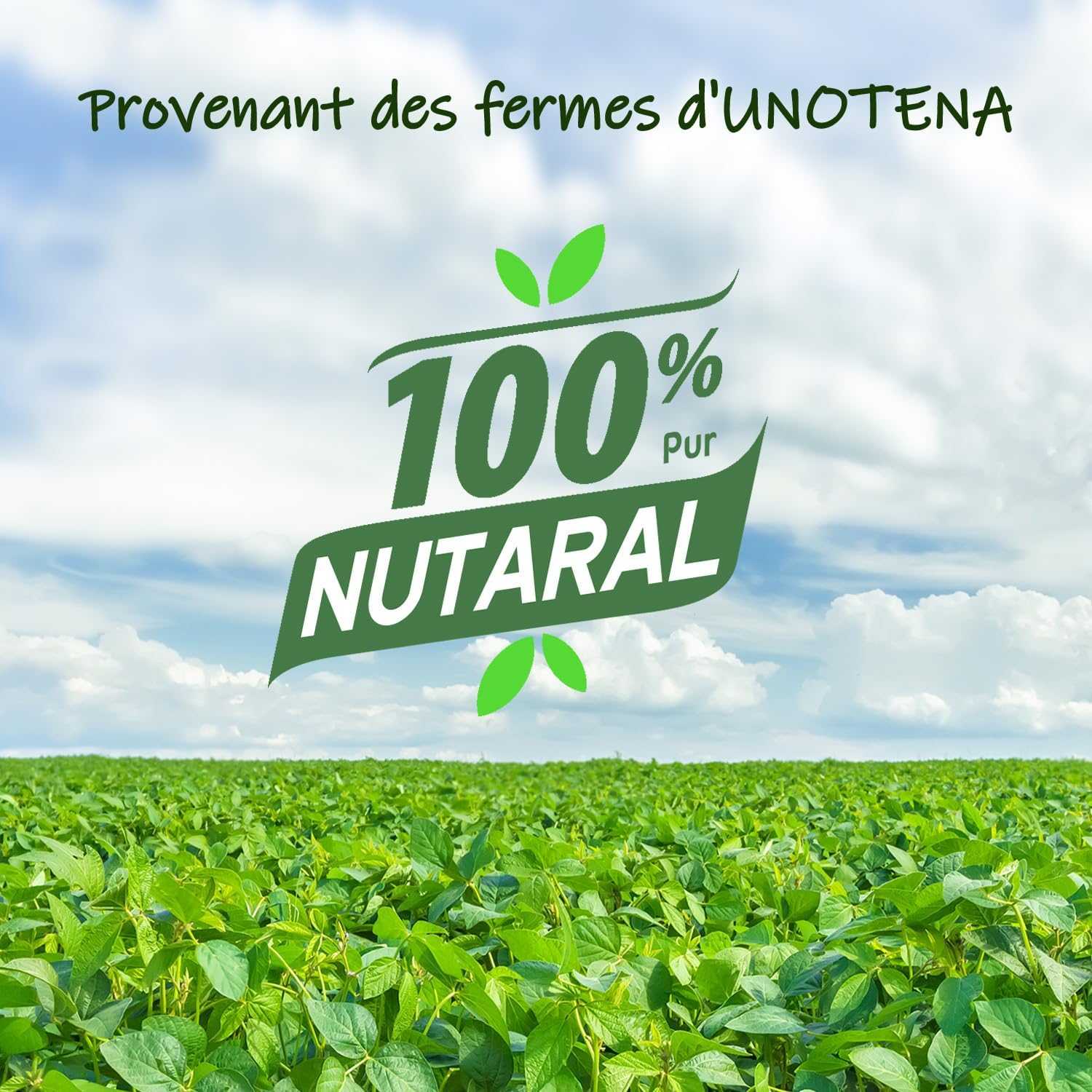 Cire de Soja Pour Bougies, Cire Pour Bougies 226g/9kg/18kg, Cire Pour Bougies À Verser, Cire de Soja Biologique 100% Naturelle Pour Bougies[ 4.5KG ]