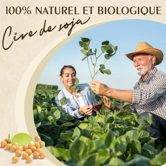Cire de Soja pour Bougies 5kg, Cire Végétale Naturelle à Fondre pour la Création et Fabrication de Bougies Maison, 100% Écologique